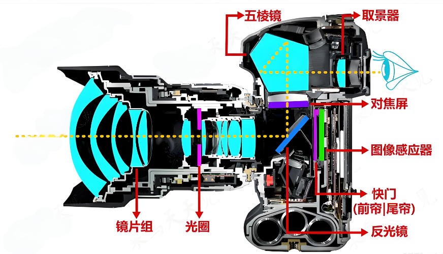 單反相機光學系統 單反相機光學系統